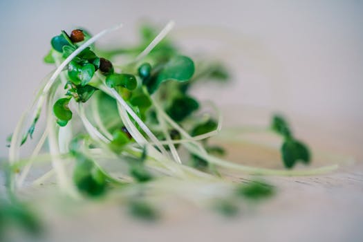 b vitamin-rich foods like leafy greens and nuts